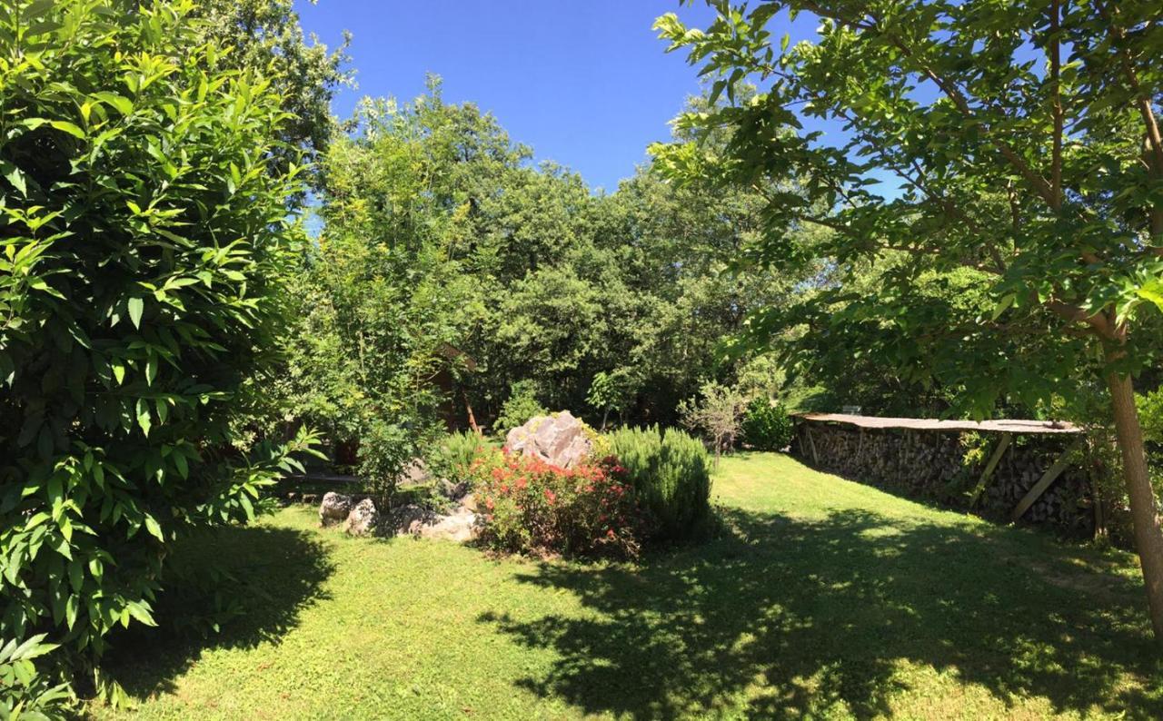 Ecolodge Les Sentiers Du Lac - Domaine De La Gaia Soreze ภายนอก รูปภาพ